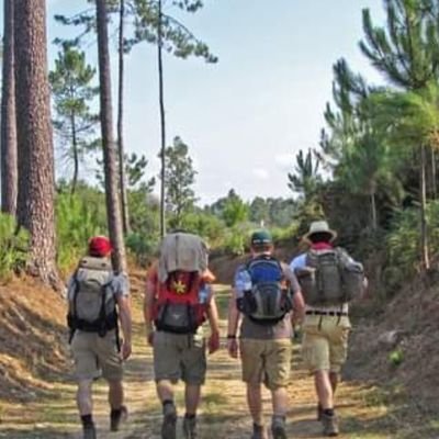 Pacman00775884's profile picture. 