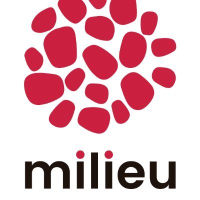 MILIEU H2020 Project aims to sustain excellent research through intensive exchange and enhancement in the field of women, disability and inclusion