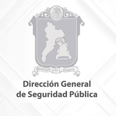 Seguridad Pública