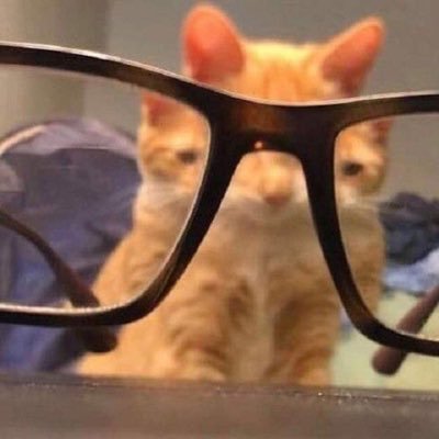 meowさんのプロフィール画像