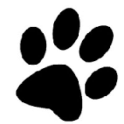 Titticri1984's profile picture. 🐺 Do I care?