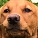 Hayden_1321's profile picture. 