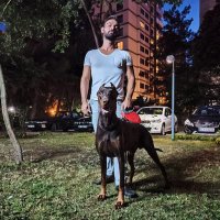 TOLGA DEMİR (@toggyyyy) 's Twitter Profile