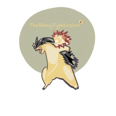 @theshinytyphlosion instagram! Pokémon and other gaming things