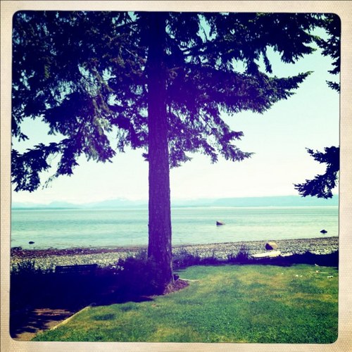 awkwardmover's profile picture. 