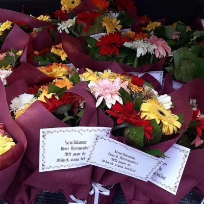 ogrtcicek's profile picture. 