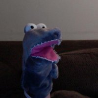 David Griggs (@davidgpuppet) 's Twitter Profile