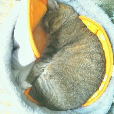 hidekiさんのプロフィール画像