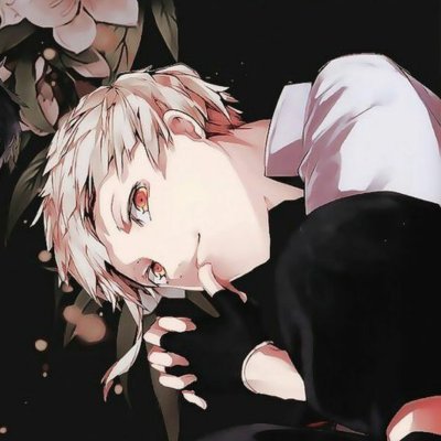bsd perfect shotsさんのプロフィール画像