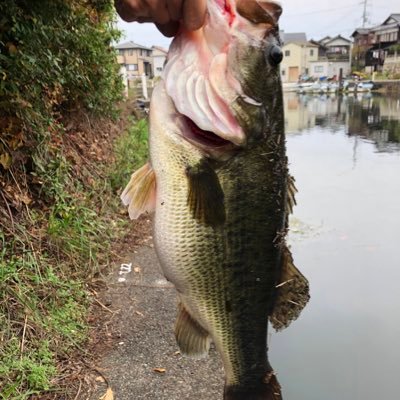 nono_3_7's profile picture. オカルト　心霊大好き👻バス釣り大好き🎣BBAなのにやりたい事ありすぎてどうしよう😆やれる事からやっていくぞ💪線維筋痛症をもっとみんなに理解してほしいと思っている。