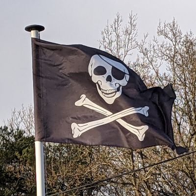 N'obtempère pas avec une hiérarchie profane, déléguée par sa clique de quelques vaniteux, au pilotage de son parc de main d’œuvre . Insubordonné à l'imbécilité.