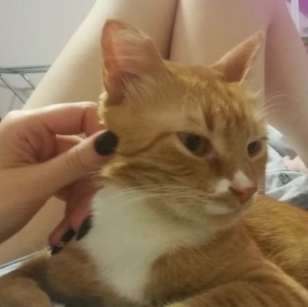 LexCrow9's profile picture. В любой непонятной ситуации предпочитаю поесть и выпить чаю.