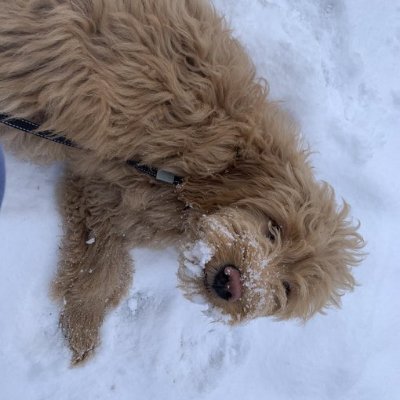 hiImVantor's profile picture. hey guys