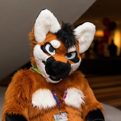 Fangio The Maned Wolf or Stirling The Corgiさんのプロフィール画像
