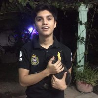 Luis Wong (@carloswong_) 's Twitter Profile