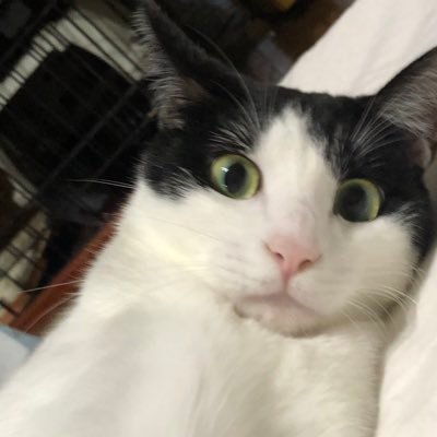 下手だけどスノーボード大好きな爺。今シーズンは腰を痛めて入院手術😵来シーズン復帰を目指す🏂