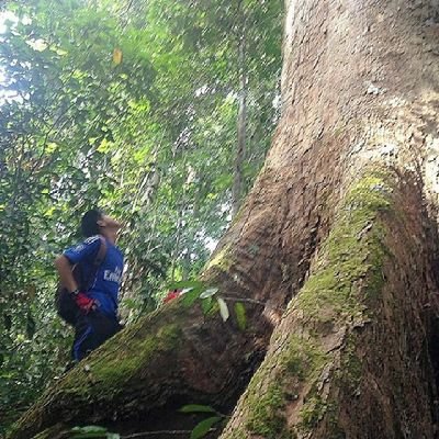 AzuanDourin's profile picture. 