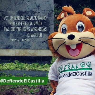 Castilla_Lince Profile Picture