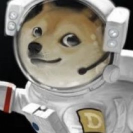 dogecoinG0d's profile picture. $DOGE