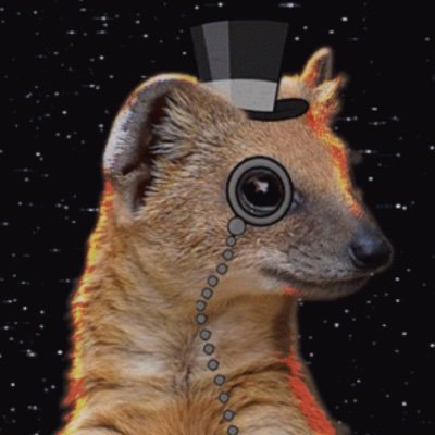 MacroMongoose's profile picture. Very famous macro PM.