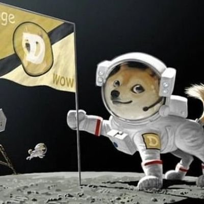 buddyy4747's profile picture. 