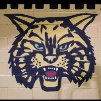 Wayne County Wildcats Sports (@waynecowildcats) 's Twitter Profile