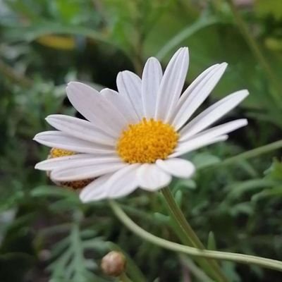 _تَمنوا، وابتَسِموا، وتوكلوا .. فَربكمْ ربٌ كريم.
