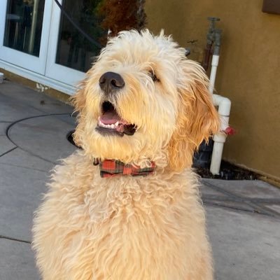 LauraON68416365's profile picture. 