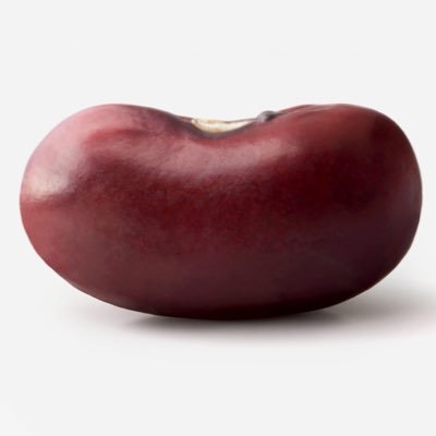 beanboy142's profile picture. beans r good