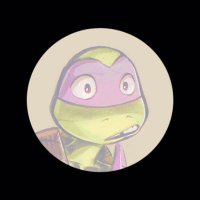 ᴅᴏɴᴀᴛᴇʟʟᴏ. (@savyturtle) 's Twitter Profile