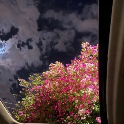 ei13f's profile picture. 