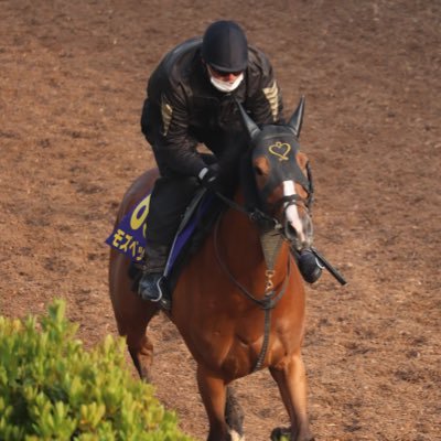 森田直行厩舎公式アカウント🐎写真・動画の転載禁止【MORITA’S SHOP】にてメロディーレーンちゃんグッズ🐎発売中です➡https://t.co/ZElO9ifdnG ※なりすましにご注意ください