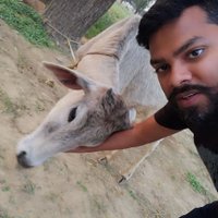 Lalit Rajput (@lalitraj640) 's Twitter Profile