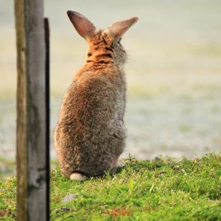 kroiwaruiko's profile picture. 夏休みの宿題は最初と最後だけ