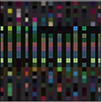 bo1v's profile picture. 