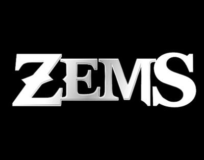 zemstv's profile picture. 