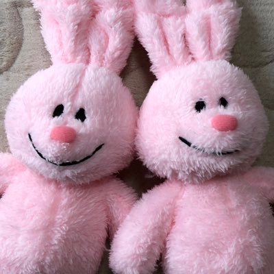 20↑ 🍅🌸/OP夢 閲覧用 無言フォロー失礼いたします。