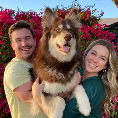 Mark_Mettes's profile picture. well well well how the turntables