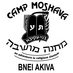Camp Moshava IO (@moshavaio) Twitter profile photo
