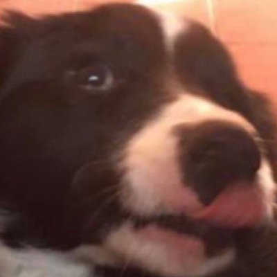 ledbanger's profile picture. robie sb muze pozdro