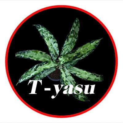 yasu19671009 Profile Picture