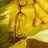 sh50322's profile image