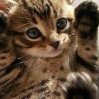 Ruby love (@rubylov65969168) 's Twitter Profile Photo Ruby love (@rubylov65969168) 's Twitter Profile Photo