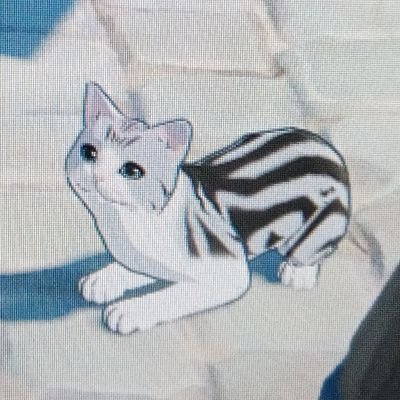 ꪗꪮꪑꪮꪶさんのプロフィール画像