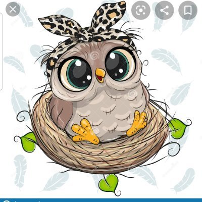My name is Mrs Edwards and I love working with the little owls in The N.E.S.T - Nurturing Environments Supporting Teaching.
Based at Roundhay School