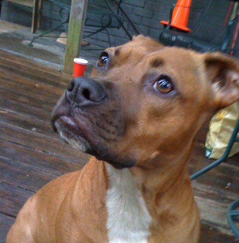 sanch0814's profile picture. 