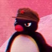 Noot Noot