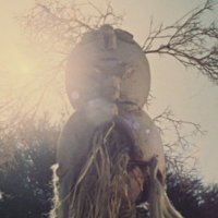 Ecstatic Terror (@ecstaticterror) 's Twitter Profile Photo Ecstatic Terror (@ecstaticterror) 's Twitter Profile Photo