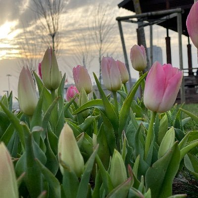 bizarreem's profile picture. just ask