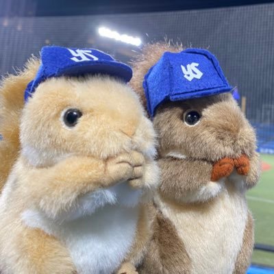 の〜あ🐣🐣双子2歳育児中さんのプロフィール画像